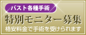 �o�X�g�e���p�@���ʃ��j�^�[��W