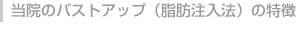@̃oXgAbvib@@j̓