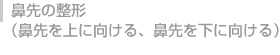 @̐`i@ɌA@Ɍj