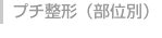 プチ整形(部位別)